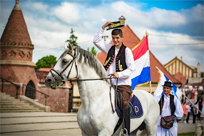 W Państwowej Stadninie Đakovow Slawonii hoduje się słynne konie lipicańskie (lipicany) © CHORWACKA WSPÓLNOTA TURYSTYCZNA/IVOBIOCINA