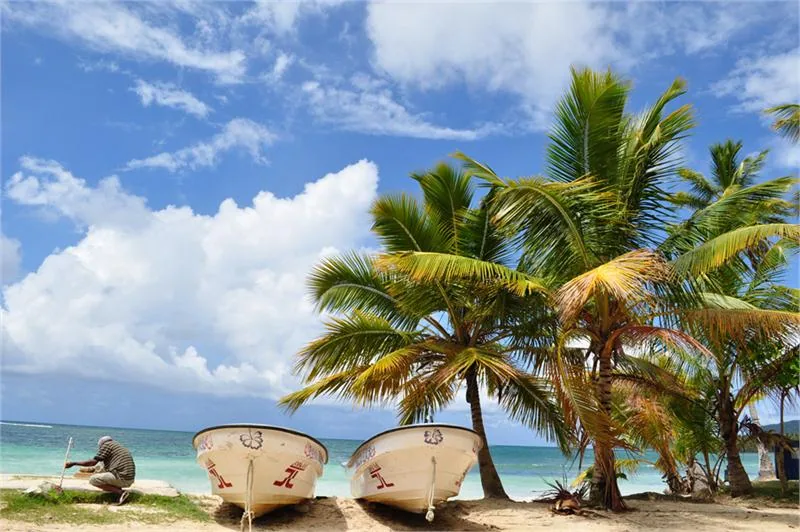 Łodzie pod palmami w Las galeras © MARCINWESOŁY/WWW.CARIBEYA.PL