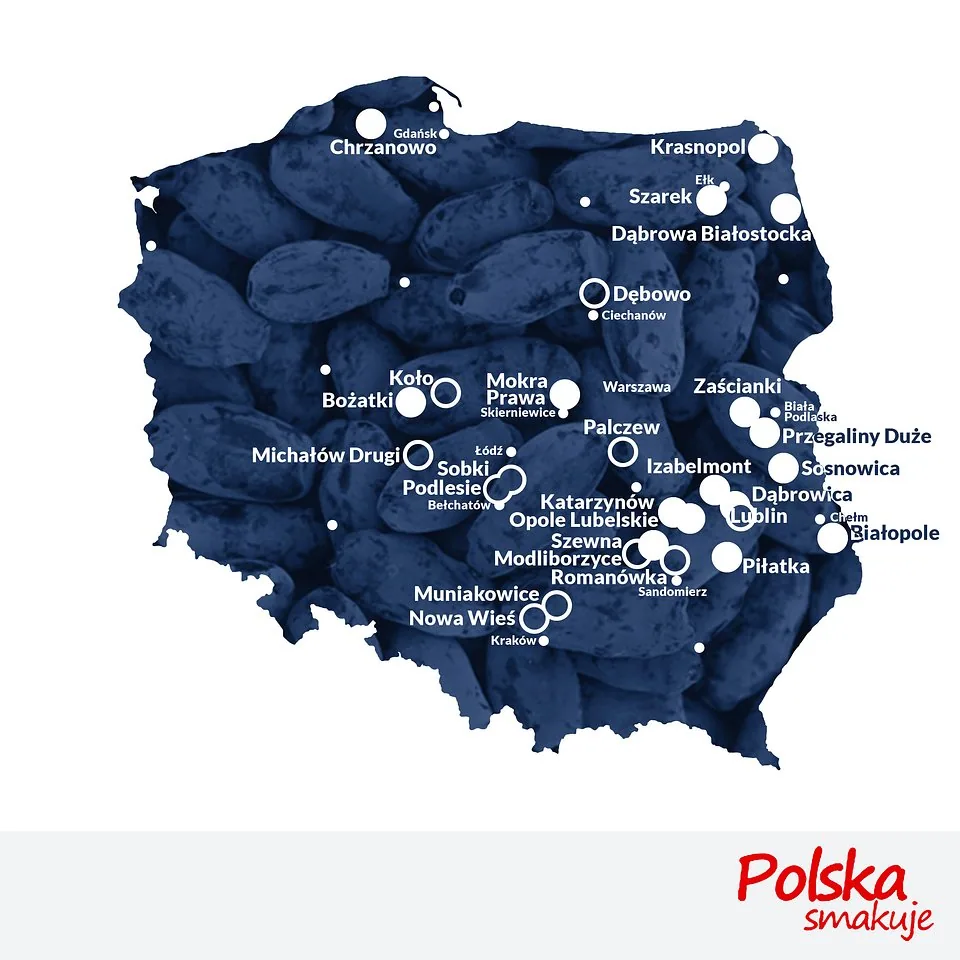 mapa-jagoda-kamczacka_mapa_terminy finał 27.jpg