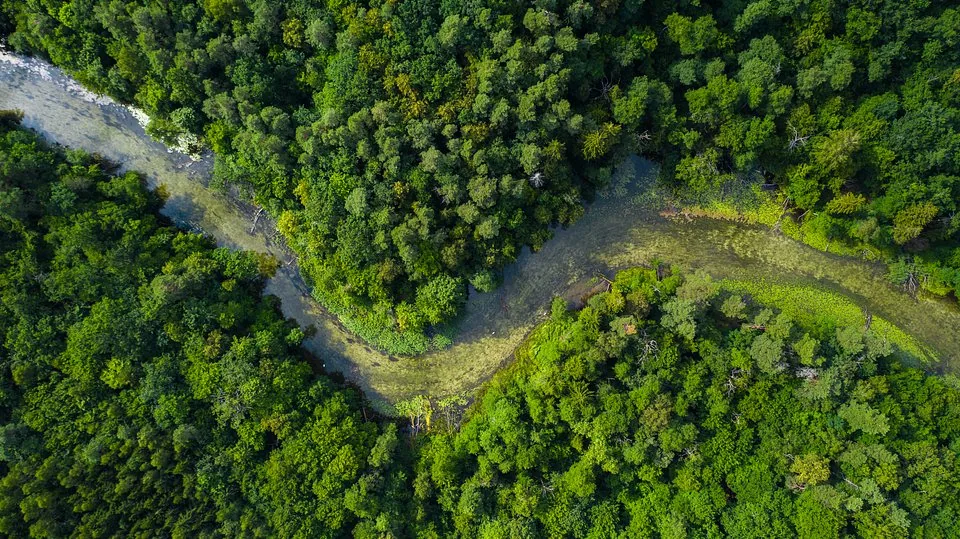 DJI_0809 KRUTYNIA2.jpg
