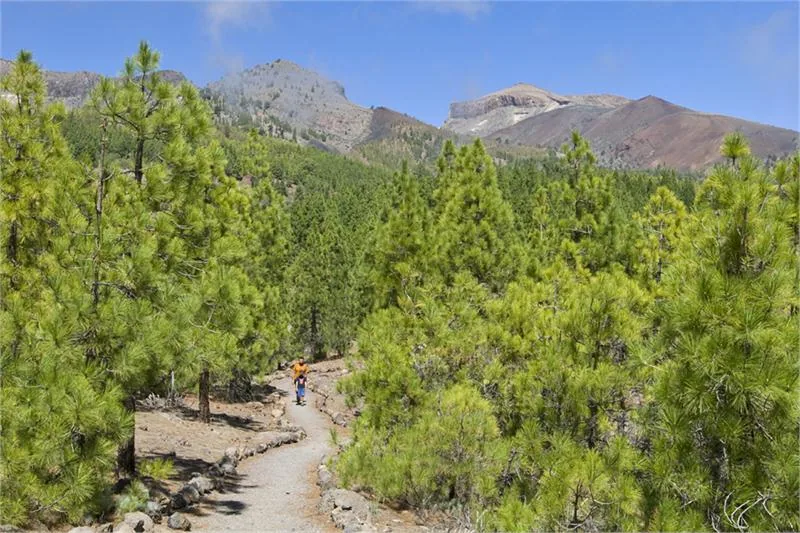 Parque natural de la corona Forestal na Teneryfie