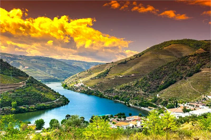 Region winiarski Alto Douro (Górne Douro), od 2001 r. na Liście Światowego Dziedzictwa Ludzkości UNESCO