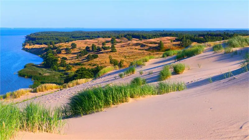 Mierzeja kurońska to wąski (o szerokości od 0,4 do 3,8 km), pokryty wysokimi wydmami półwysep