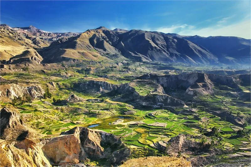 Schodkowe tarasy w okolicach kanionu Colca