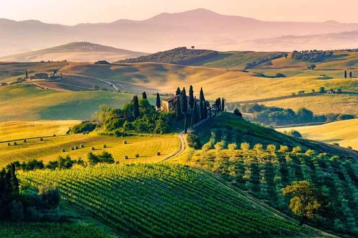 Val d’Orcia, winnice sąsiadują tu z gajami oliwnymi.