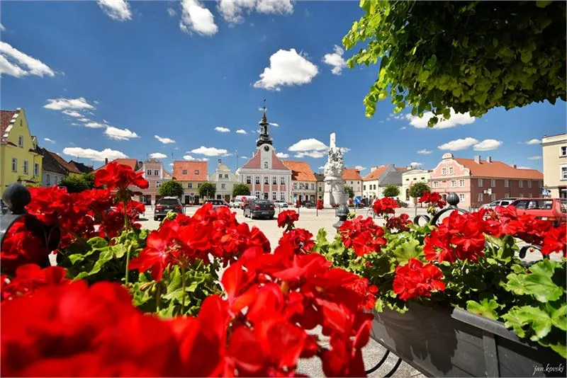 Ratusz z 1752 r. z drewnianą wieżą, Rynek w Rydzynie