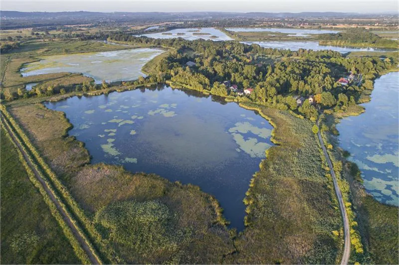 Złożony z 23 stawów kompleks „Przeręb” („Przyręb”) na Szlaku Karpia, chętnie odpoczywają tu stada gęsi