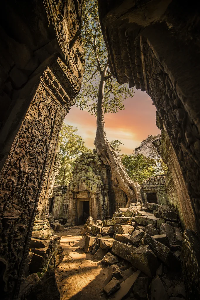 (Selective focus) Stunning view of the Ta Prohm temple with a big old tree. Ta Prohm is the modern name of the temple in Siem Reap, Cambodia.