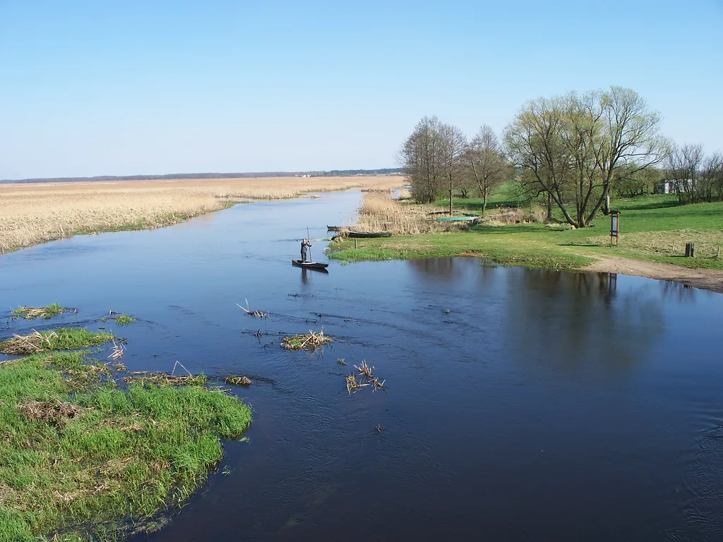 Waniewo, rzeka Narew
