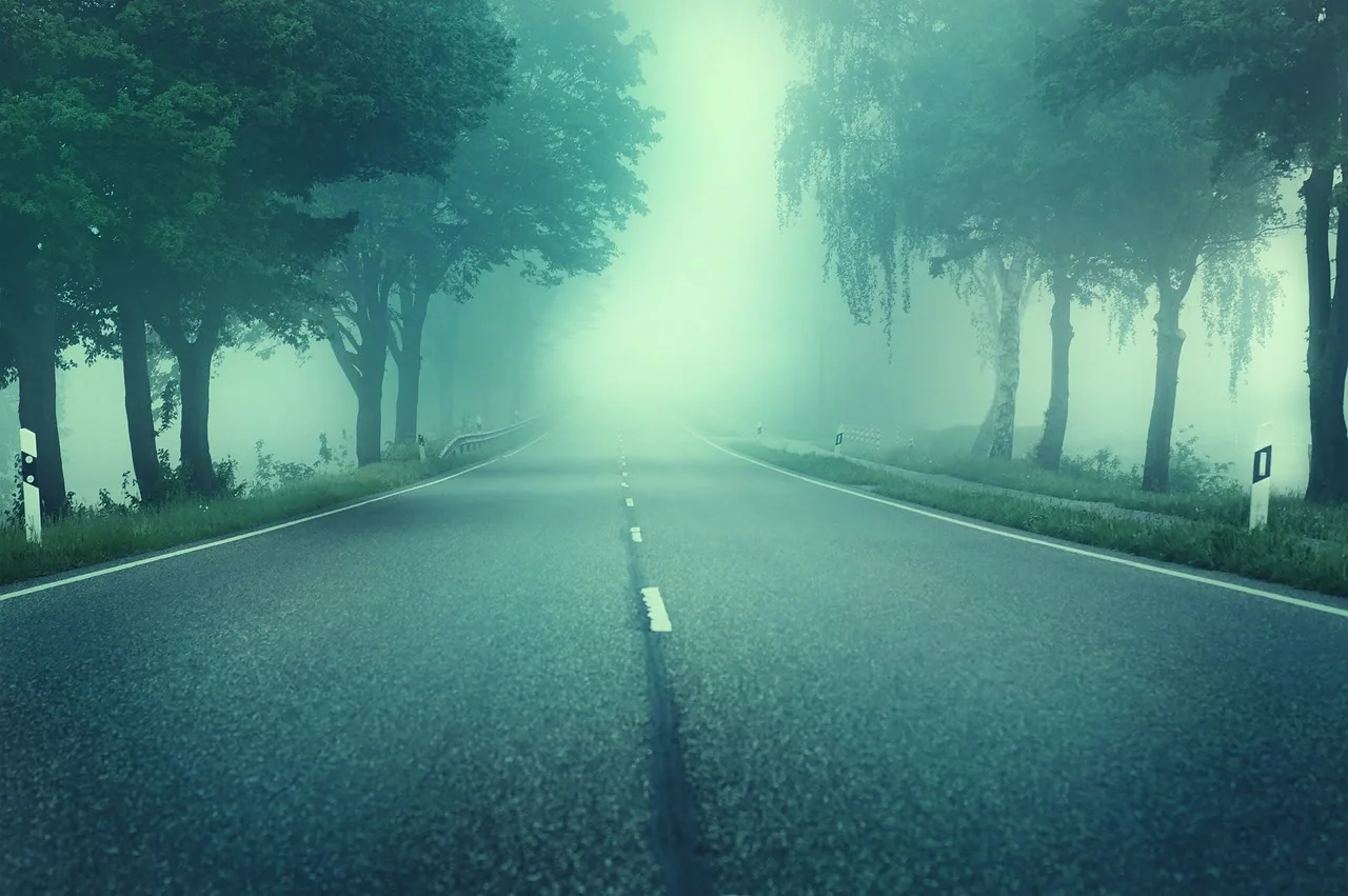 Free Country Road Trees photo and picture