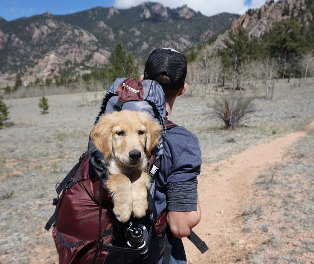 A person carrying a dog on his backDescription automatically generated