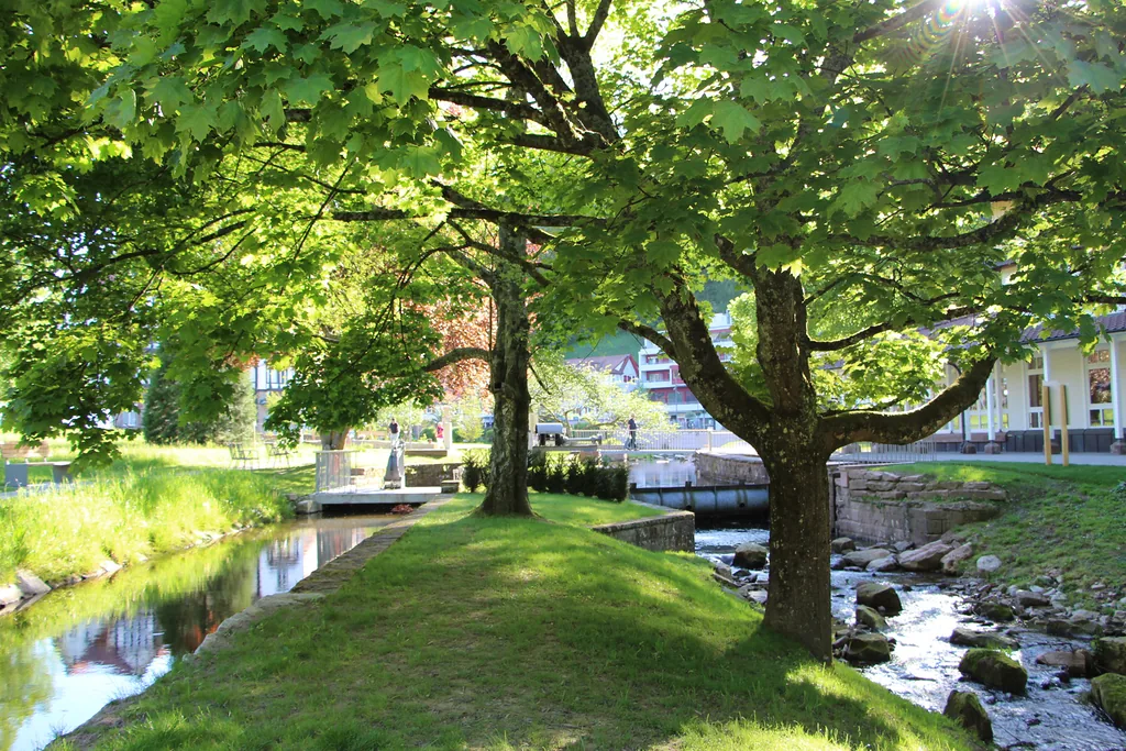 Kurpark Bad Herrenalb 1