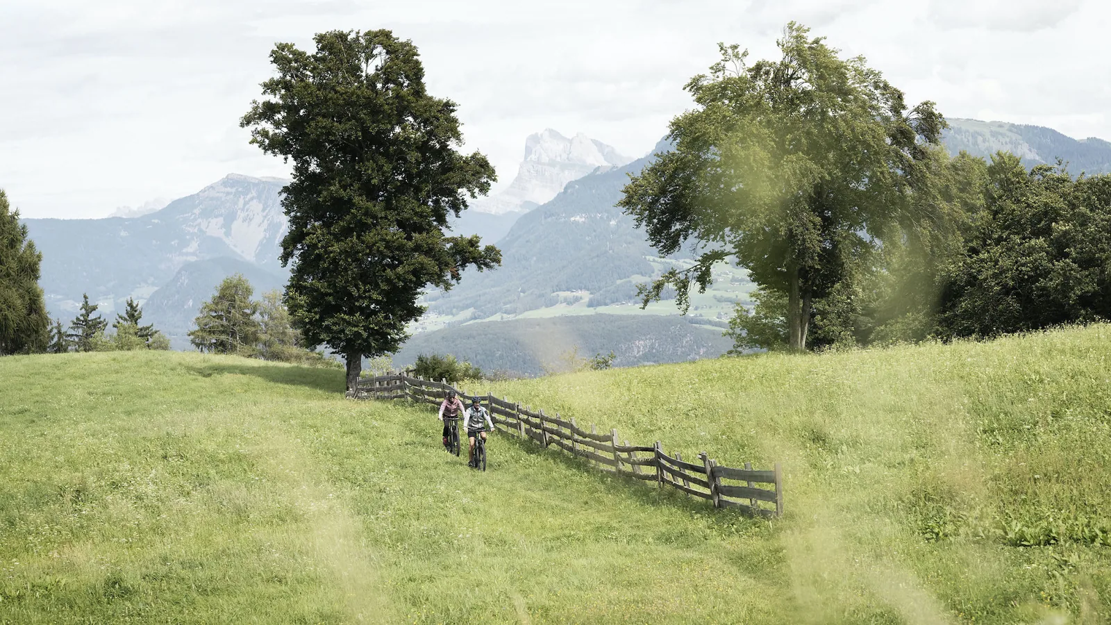 nachhaltige-adler-lodge-ritten-suedtirol-mountainbiking-activity