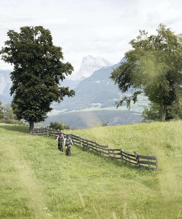 nachhaltige-adler-lodge-ritten-suedtirol-mountainbiking-activity