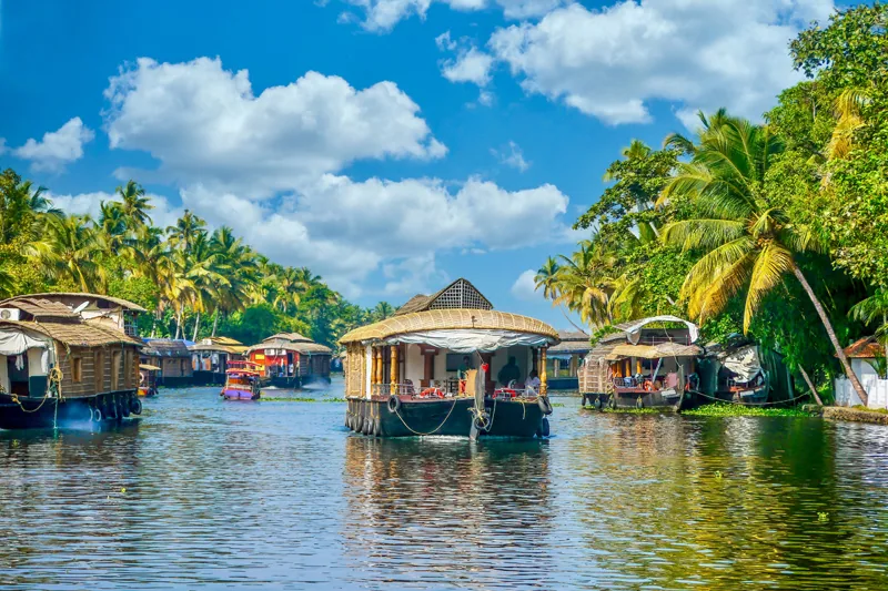 In the peaceful backwaters of the southern state of Kerala, India, covered barges travel along a narrow canal lined with coconut palm trees and lush green tropi