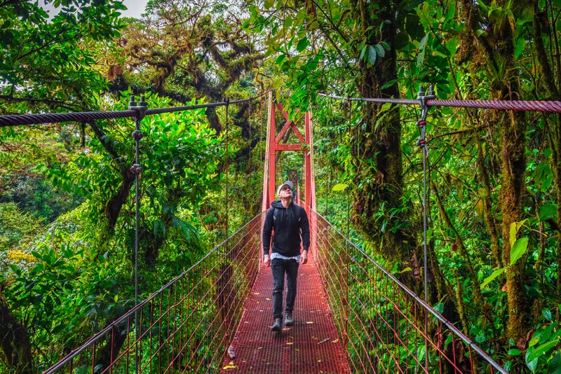 Tourist walking on a hanging suspension bridge in the jungle of Monteverde Cloud Forest, Costa Rica