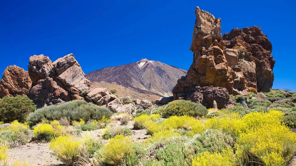 Oceano_Flora_Teide-hiking