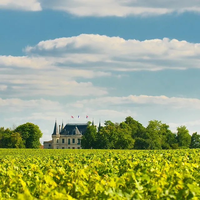 Chateau Margaux, Francja