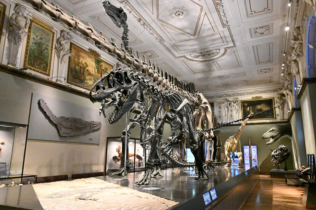 FOT. NHM Wien, Chloe Potter