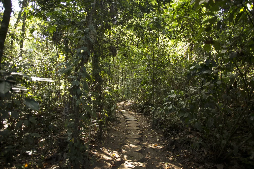 Jungle tour at Inkaterra Reserva Amazónica