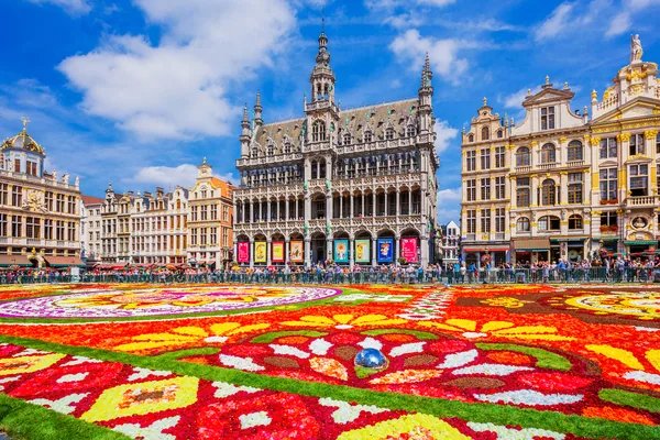 Brussels, Belgium: Grand Place during Flower Carpet festival. This year theme was Mexico.