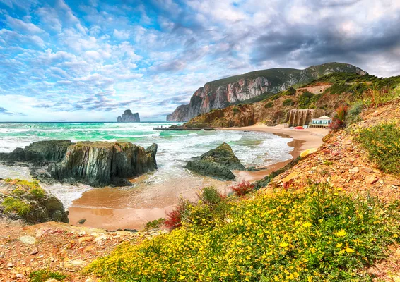 Astonishing view of beach Portu Cauli in Masua with Pan di Zucchero at background. Blooming flowers at rocks. Location: Masua, Iglesias, Sardinia, Italy Europe