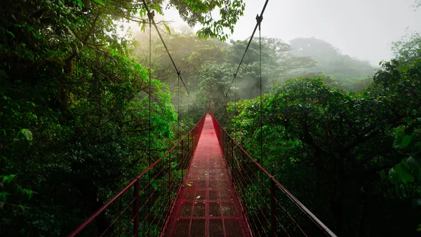 Red long suspension bridge through the foggy treetops of Monteverde Cloud Forest Nature Reserve in Costa Rica